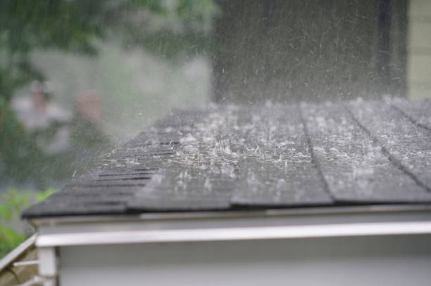 Best Rubber Roofing (EPDM, TPO)  in West Lawn, PA